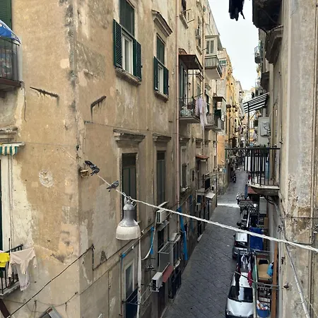 Toledo Relax-2